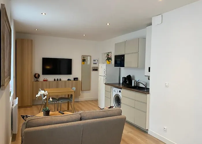 28m2 Avec Parking Prive - Lycee Roosevelt - Arena - Gare Apartment